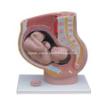 /msite/products/detail/productid/14015051/id/186332.html